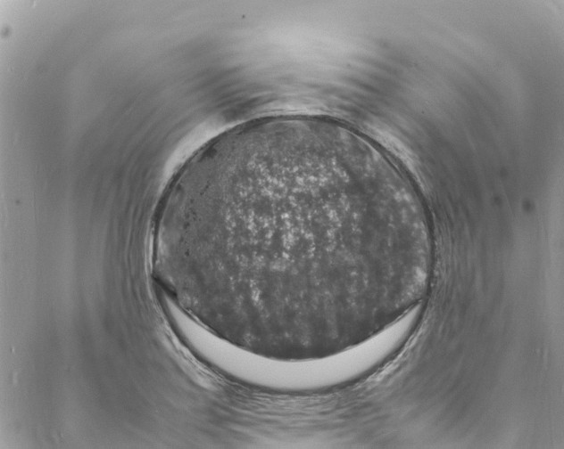 X0000088031179200706011342