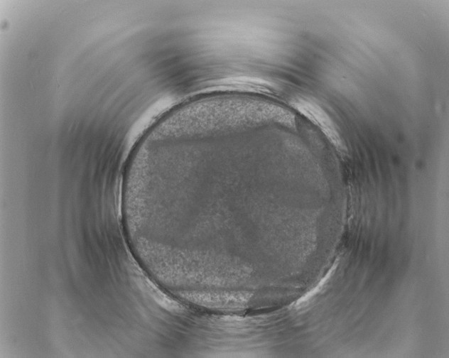 X0000088031180200706011342