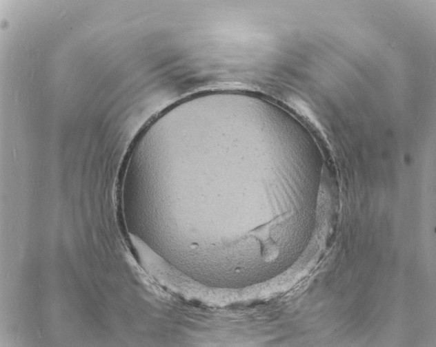 X0000088031181200706011342