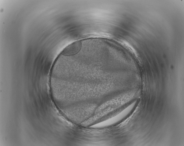 X0000088031182200706011342