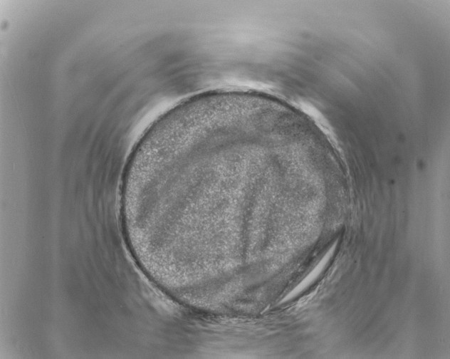 X0000088031183200706011342