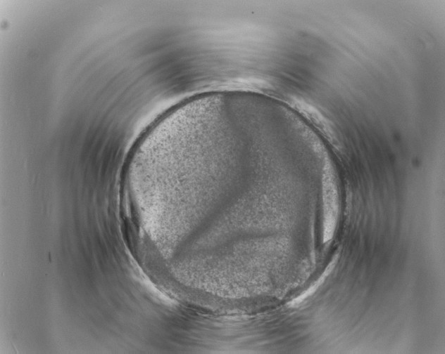 X0000088031184200706011342