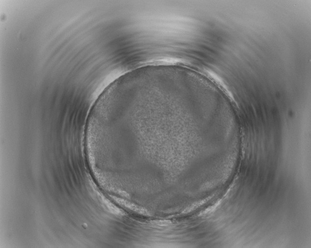 X0000088031186200706011342