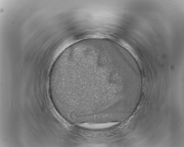 X0000088031187200706011342