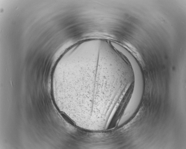 X0000088031188200706011342