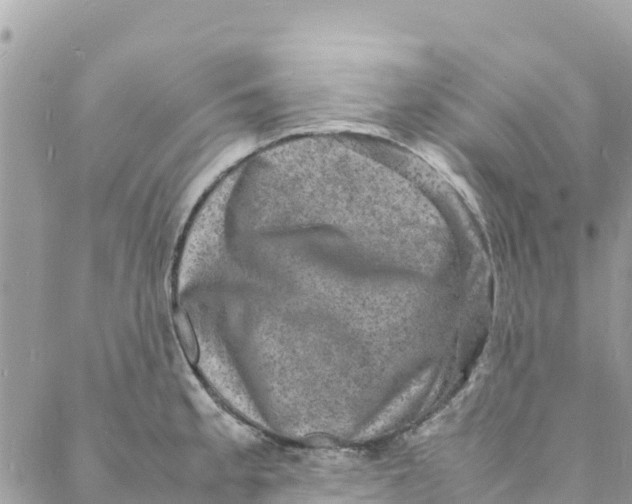 X0000088031189200706011342