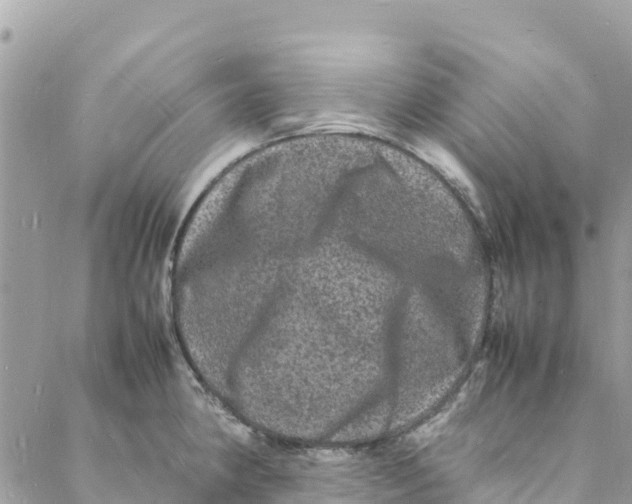 X0000088031190200706011342