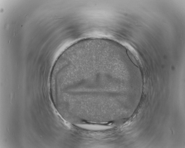 X0000088031191200706011342