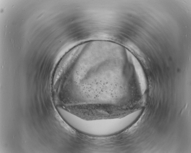 X0000088031192200706011342