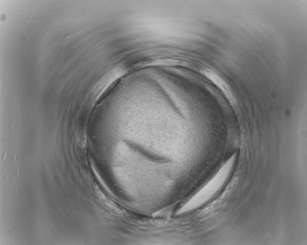 X0000088031193200706011342