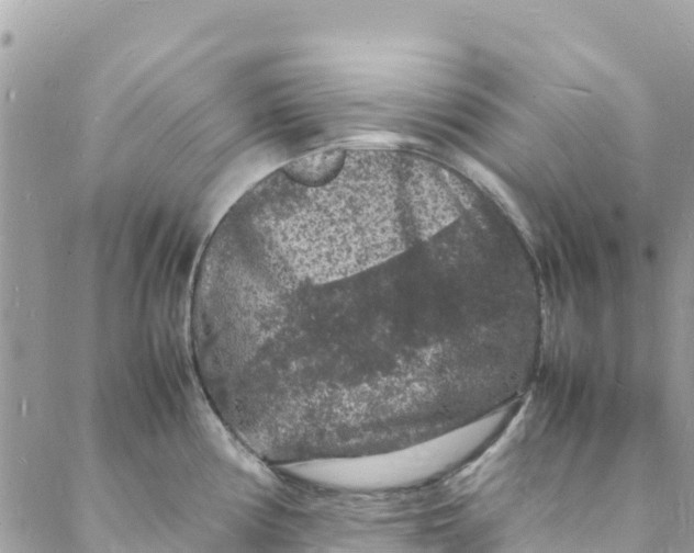 X0000088031194200706011342