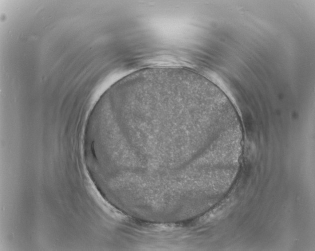 X0000088031195200706011342