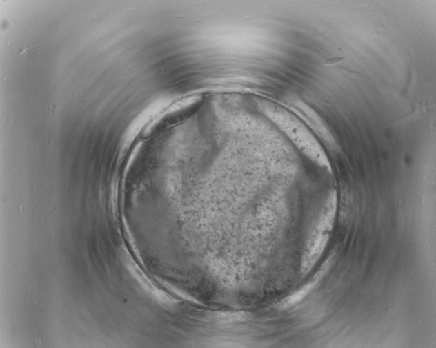 X0000088031196200706011342