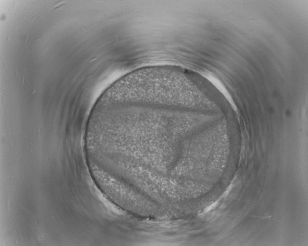 X0000088031197200706011342