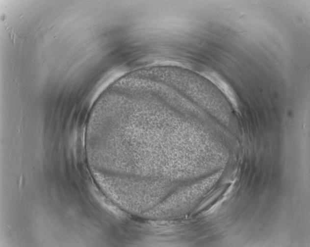 X0000088031198200706011342