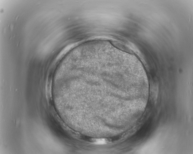 X0000088031199200706011342