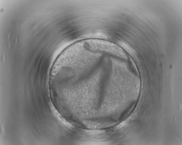 X0000088031200200706011342