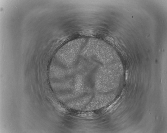 X0000088031201200706011341