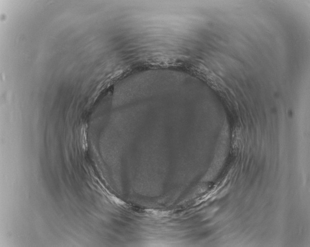 X0000088031202200706011341