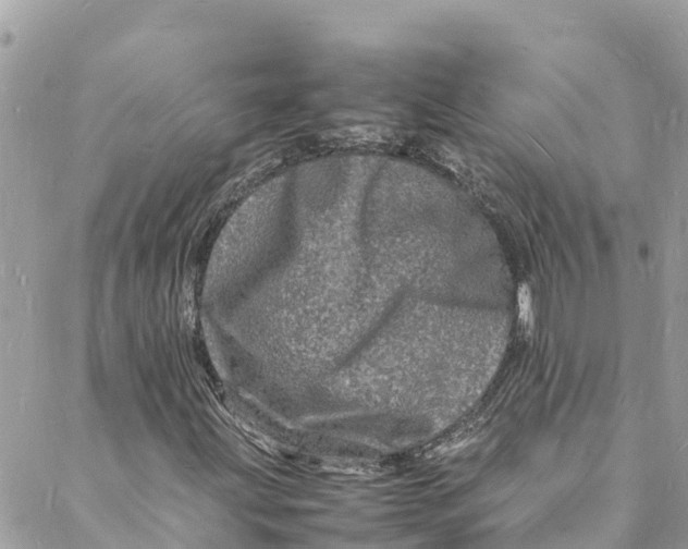 X0000088031203200706011341