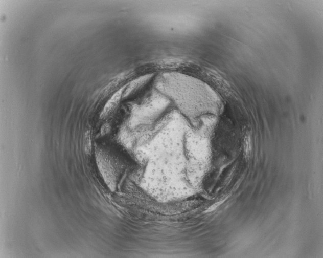 X0000088031204200706011341