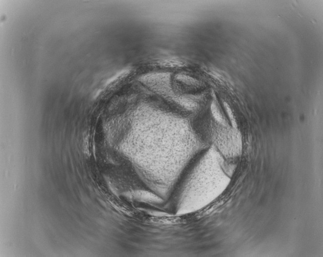 X0000088031205200706011341