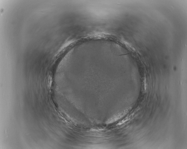 X0000088031206200706011341