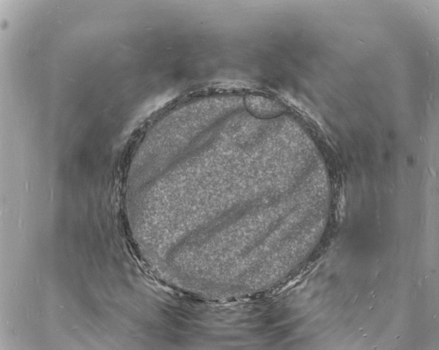 X0000088031207200706011341