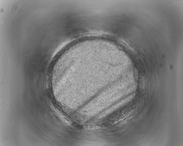 X0000088031208200706011341