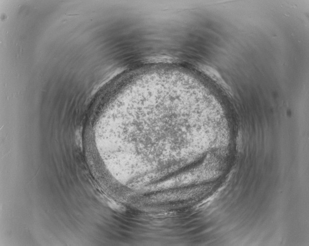 X0000088031209200706011341