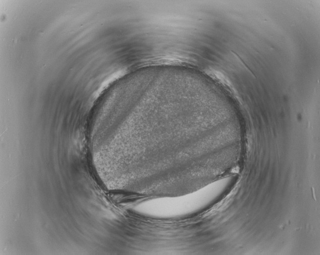 X0000088031210200706011341