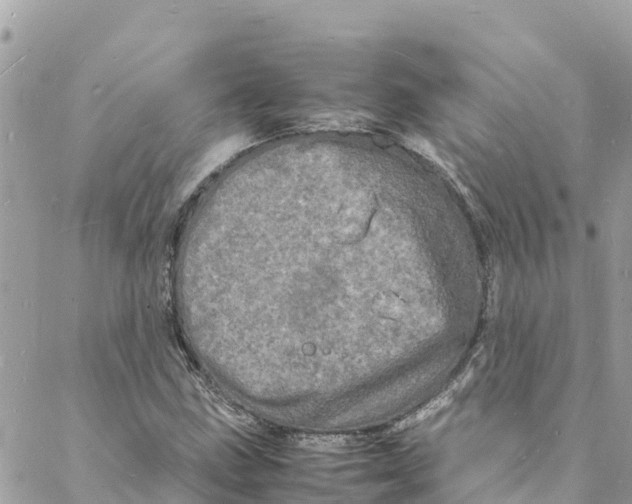 X0000088031211200706011341