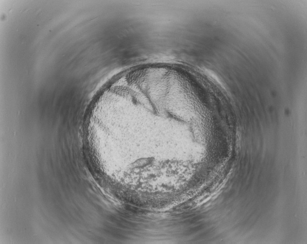 X0000088031212200706011341