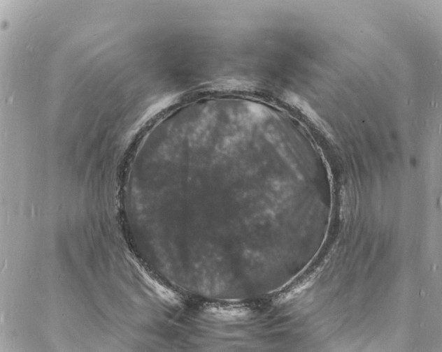 X0000088031213200706011341