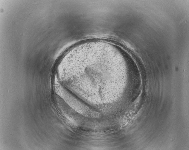 X0000088031214200706011341