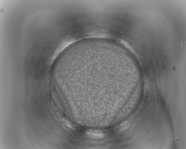 X0000088031215200706011341