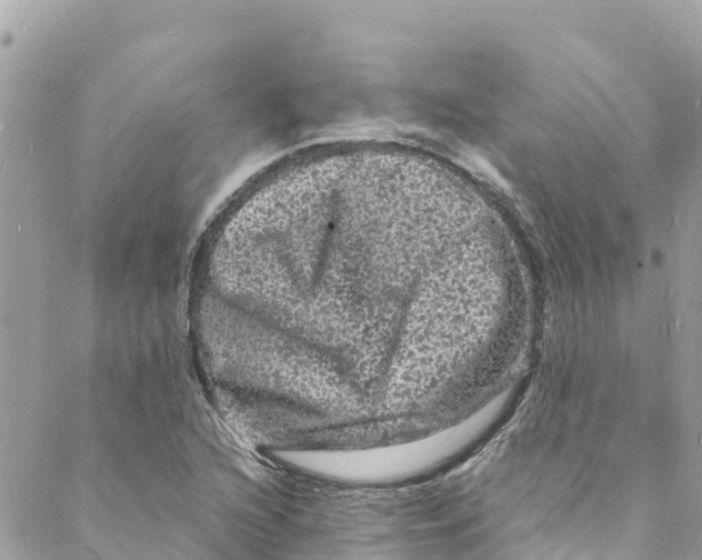 X0000088031216200706011341