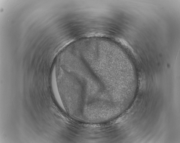 X0000088031217200706011341