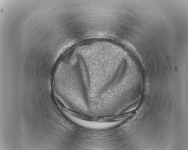 X0000088031218200706011341