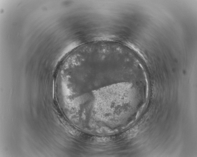 X0000088031219200706011341