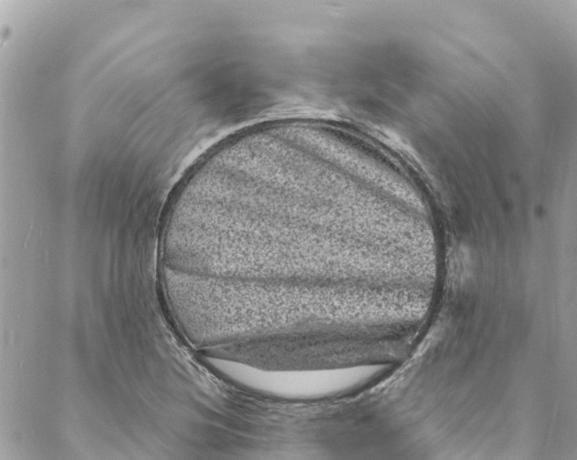 X0000088031220200706011341