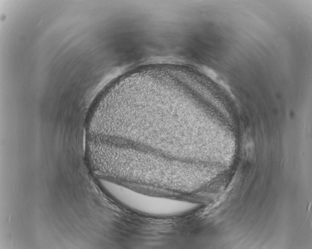 X0000088031221200706011341