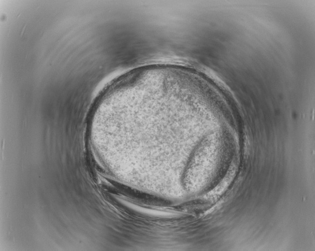 X0000088031222200706011341