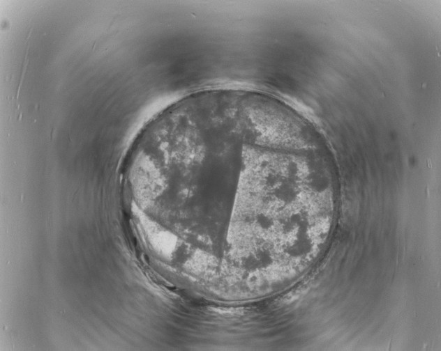 X0000088031223200706011341