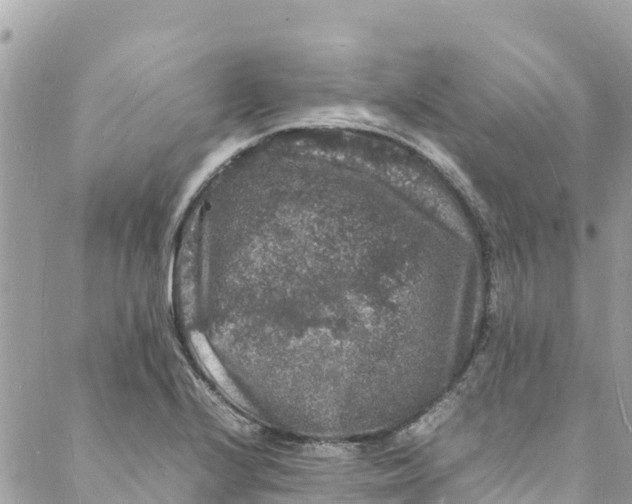 X0000088031224200706011341