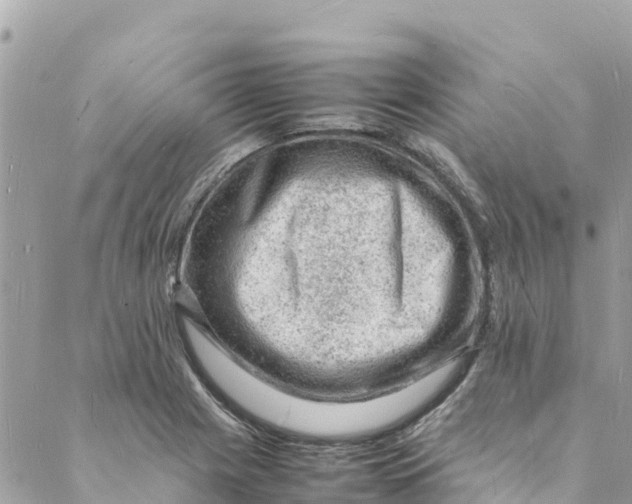 X0000088031225200706011341