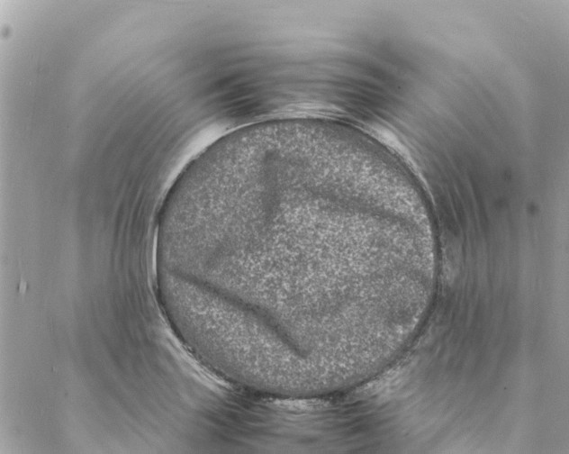 X0000088031227200706011341