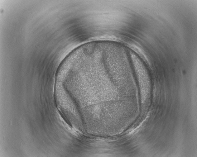 X0000088031228200706011341