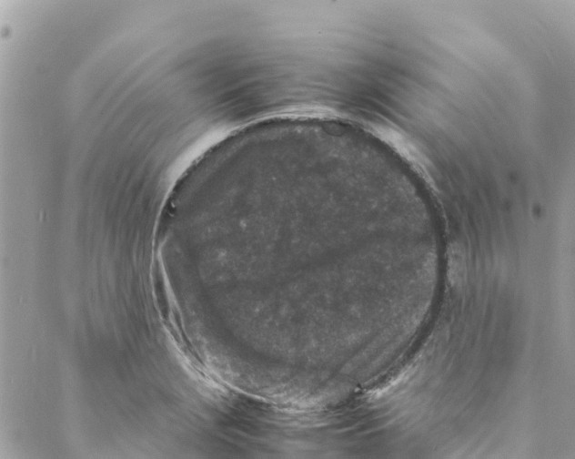 X0000088031229200706011341