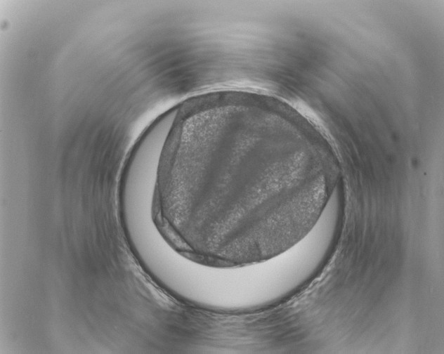 X0000088031230200706011341